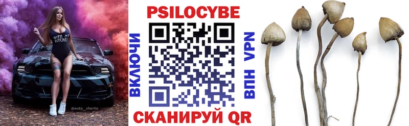 Галлюциногенные грибы Magic Shrooms  дарк нет наркотические препараты  Няндома 